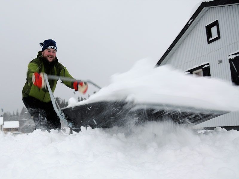 Dezapezire profesionala