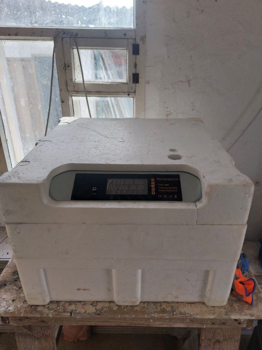 Инкубатор сатылады