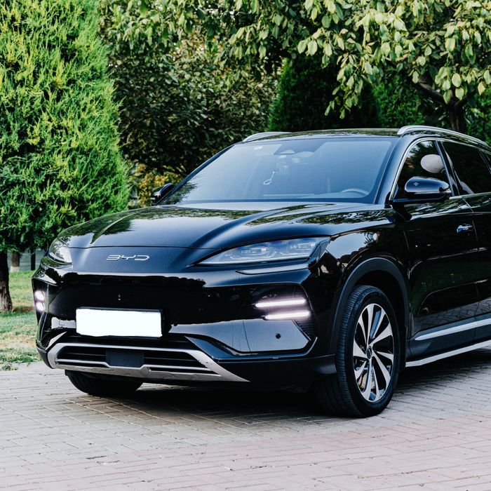 Byd Champion 605