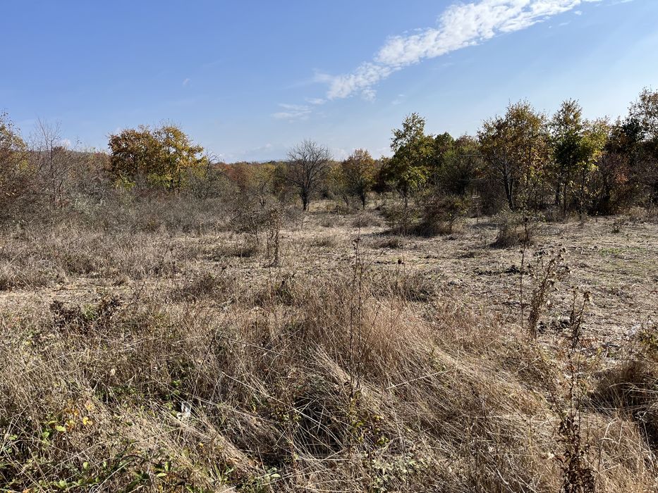 Продава се Парцел в с. Росен, Област Бургас - 1118 кв.м за 25 €/кв.м - Снимка #6