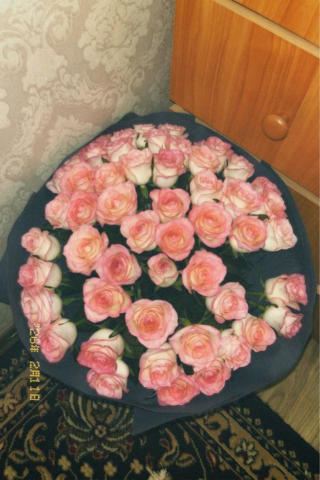 Гул бар бугын келген