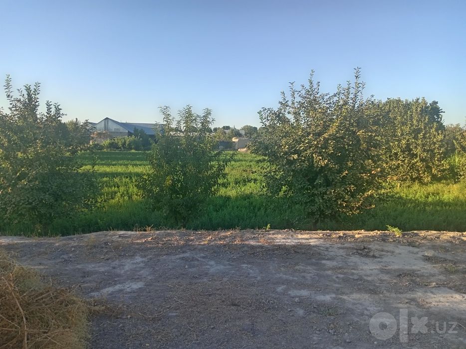 Uchaska sotiladi 10 sotiq
