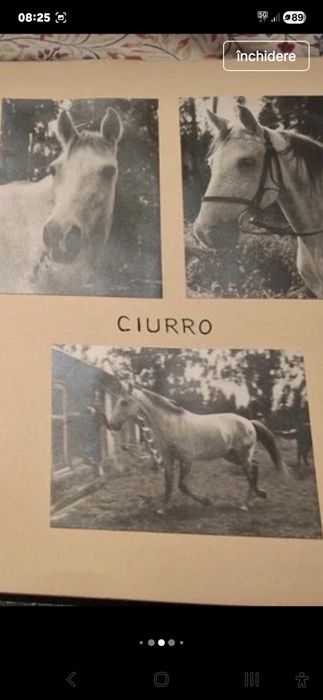 Album foto original