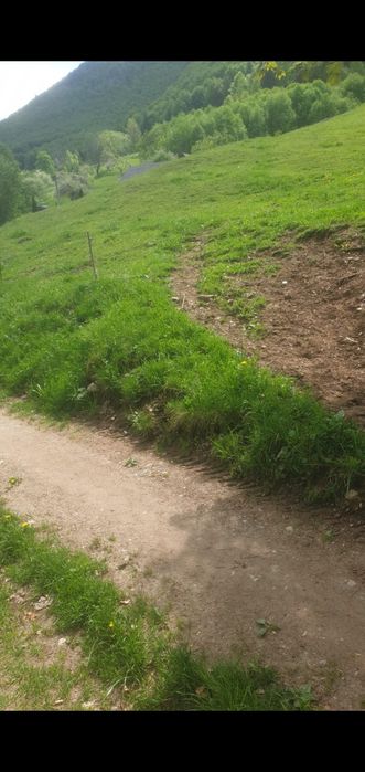 Teren de vânzare intravilan