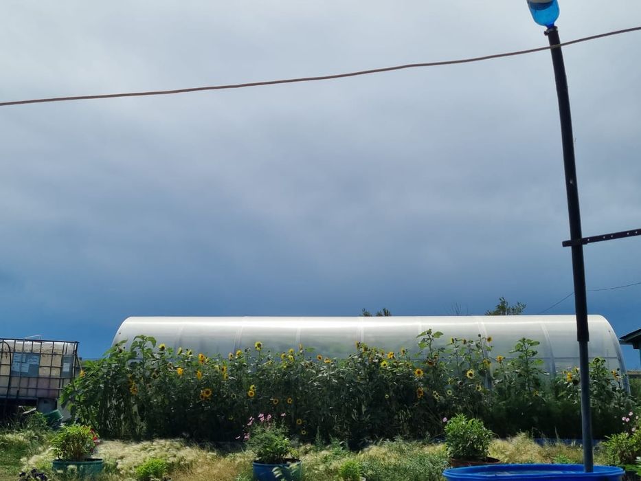 Продам дом с большим участком