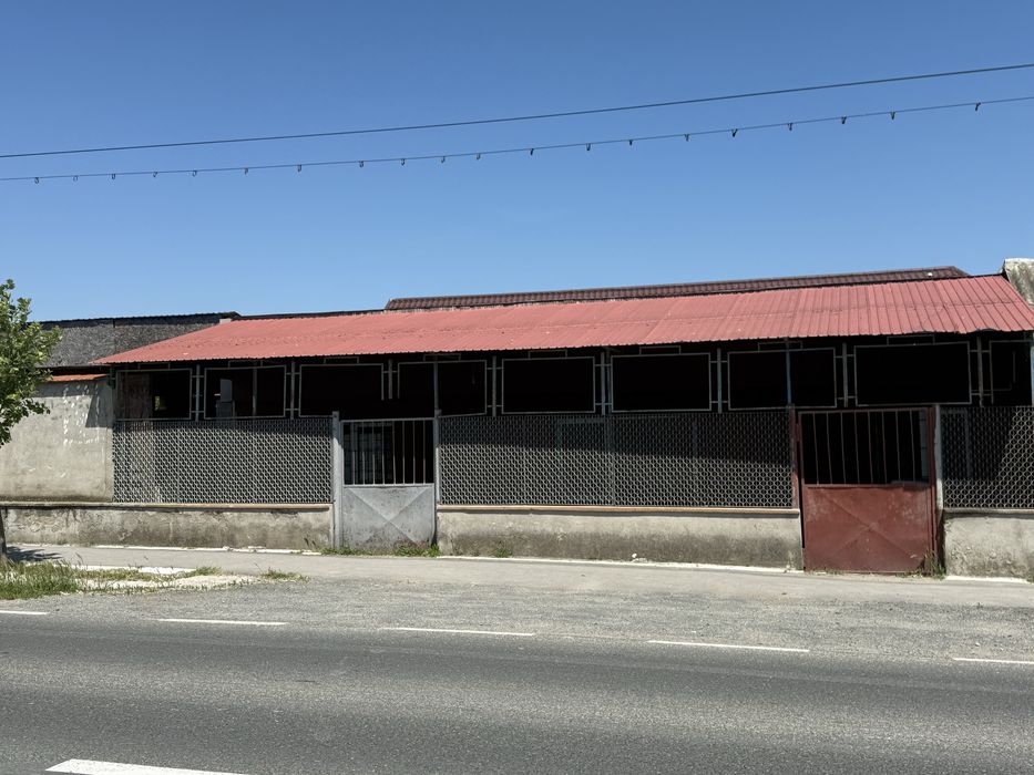 Spatiu comercial Satu Nou