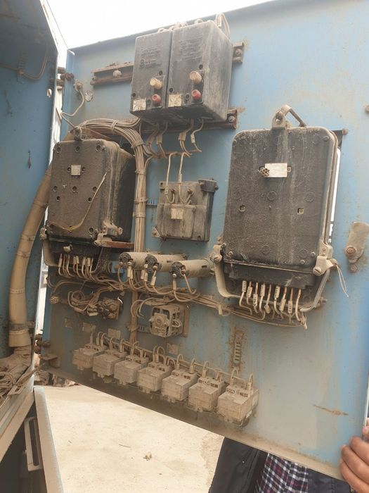 Маслины в/к 10 новый