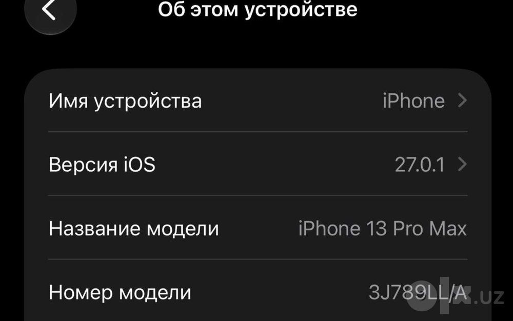 13 Pro Max Apple