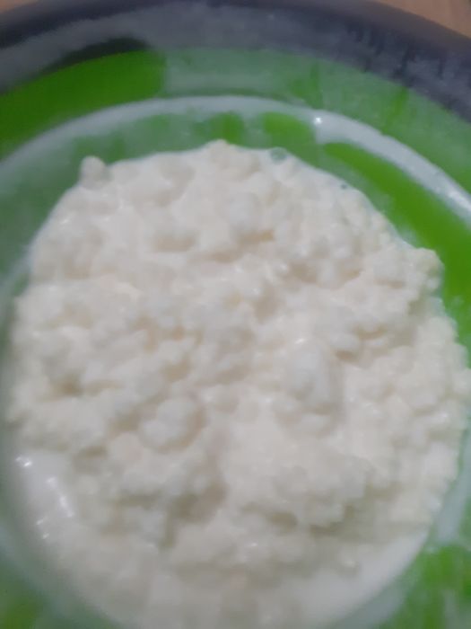 Vând celule kefir lapte Pitești