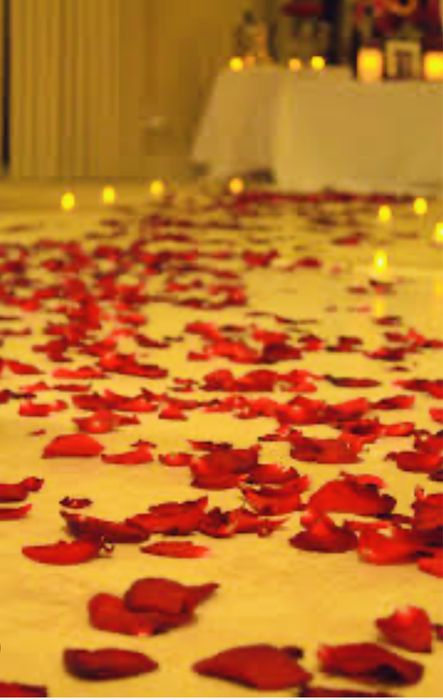 Лепестки красивых роз