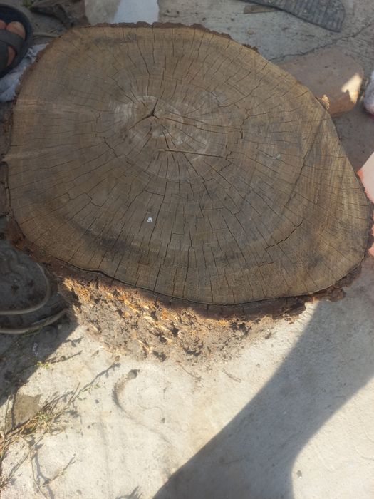 Продам пеньки для рубки мяса