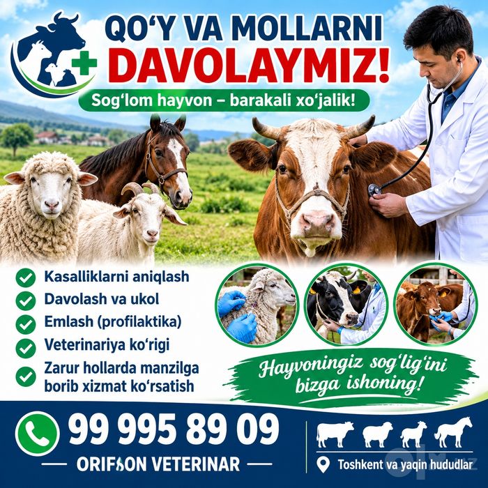 Qo'y va mollarni davolaymiz