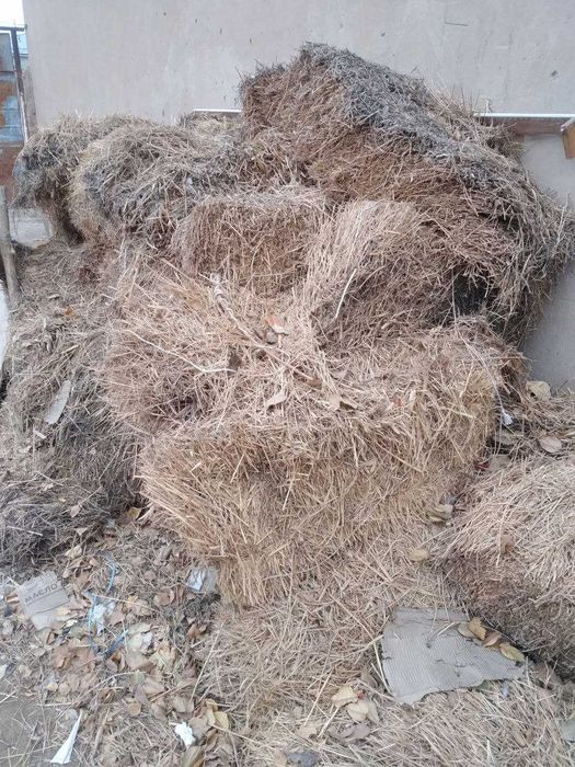 Jońishqa  Press Satiladi!