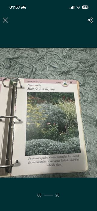 Gradinarit in orice anotimp