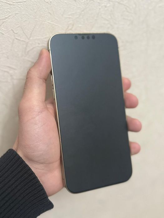 iPhone 13 pro max 128gb gold