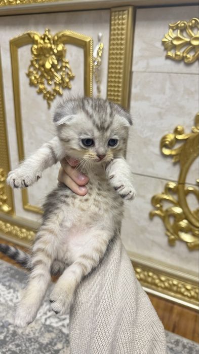 Xotinim Yuliya haqida ruscha porno video