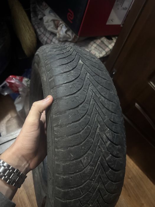 Lassa 175 70 R14 все болоны за 30$