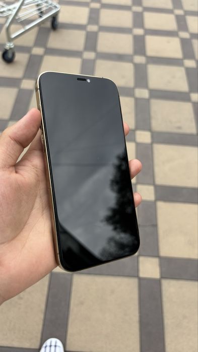 iPhone 12 PRO MAX