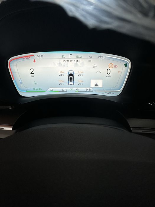 Byd chempion gibrid 150