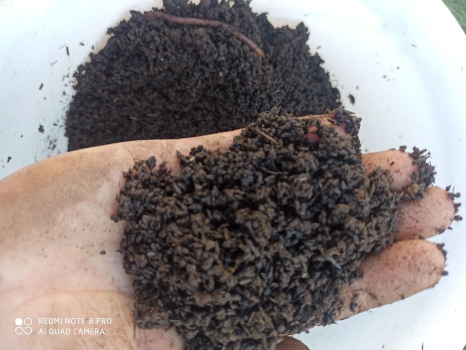 Чистой биогумус удобрение