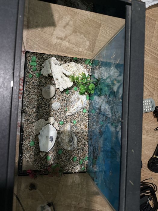 Аквариум для рыб