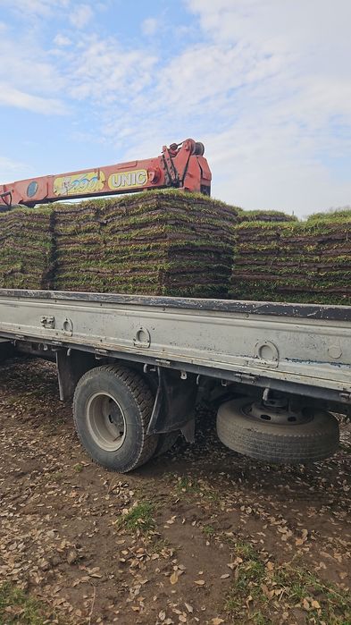 Мвнипулятор услуги