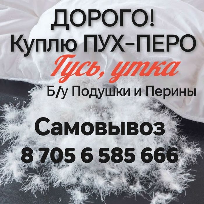 Пух-Перо Гусиное, Утиное