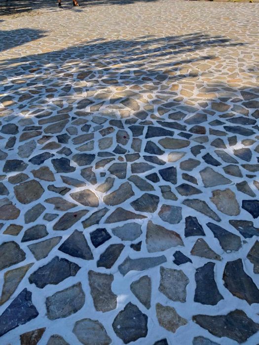 Vand transport si montez piatra/plante