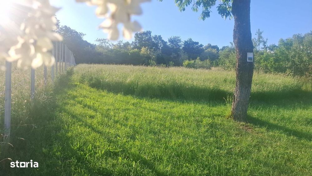 Teren intravilan 809 mp Tropinii Noi lângă pădurea Dumbrava