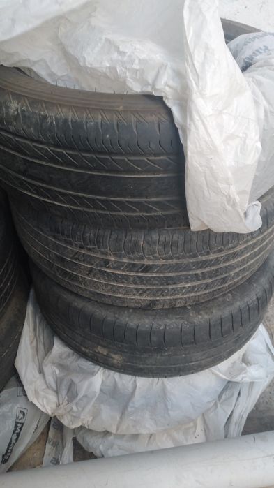 Пакришка бир сезон журген