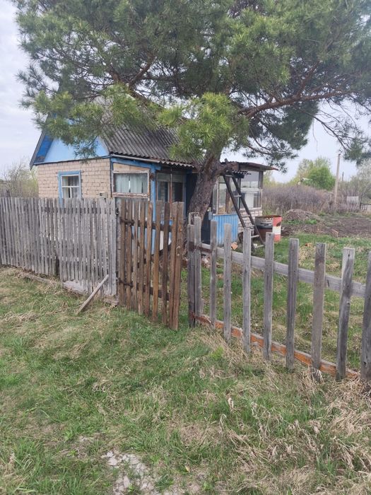 Продам дачу. Тихая роща