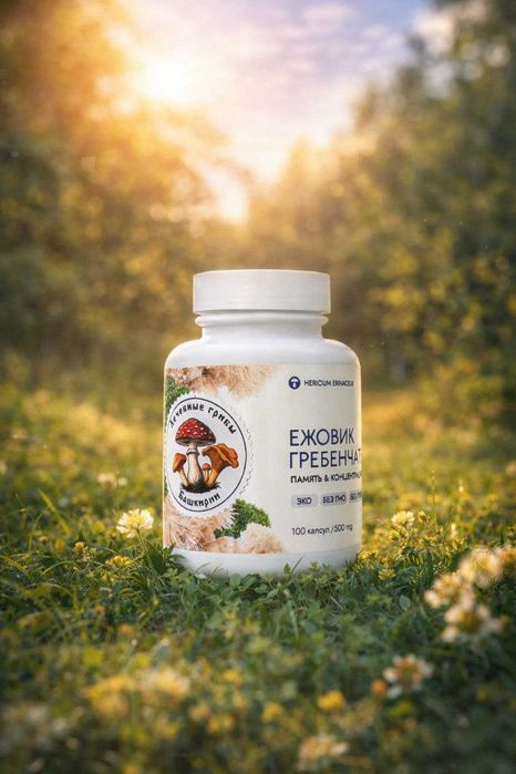 Ежовик Премиум Башкирия | Мицелий, плоды, капсулы