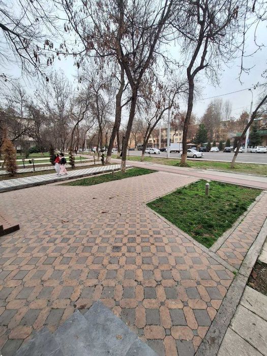 Нотурар офис(ofis) ижарага арендага берилади 60м2 Чилонзор 11 квартал