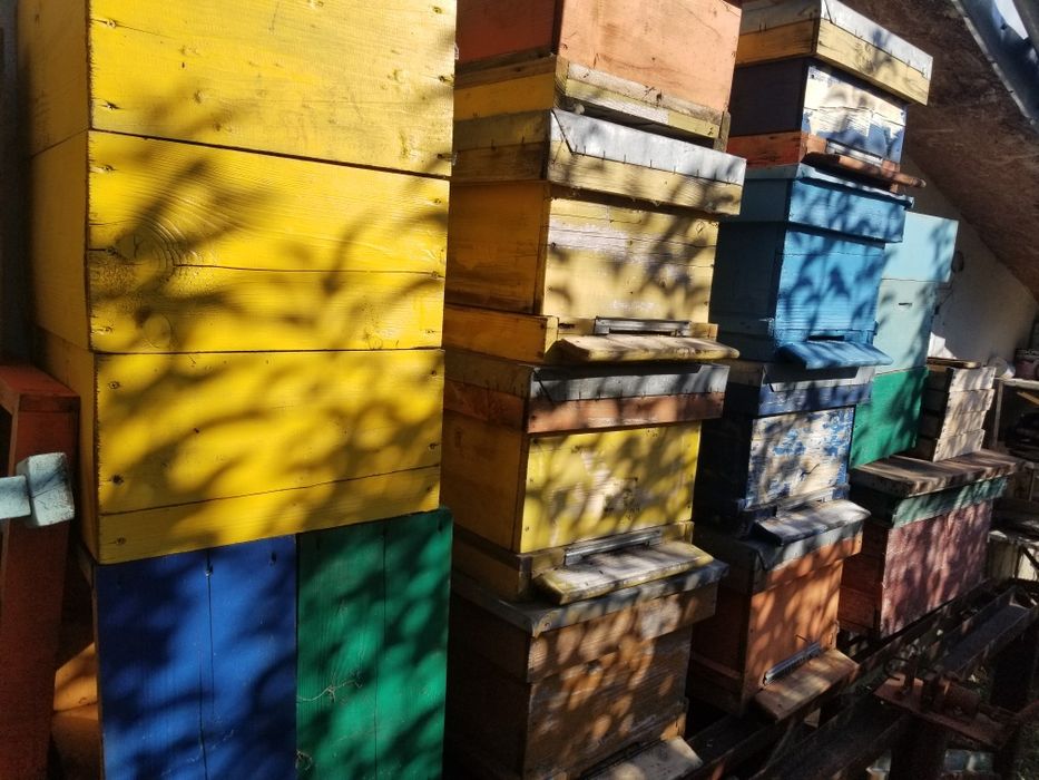 Stupi, albine, multietajati 10 rame