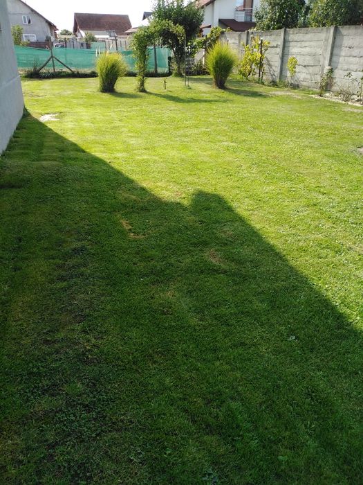 Casă de vânzare Făget (Colonia Mică)