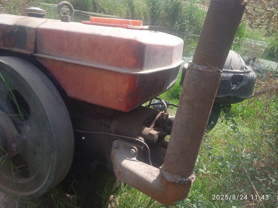 Salarka Nasos Sotiladi