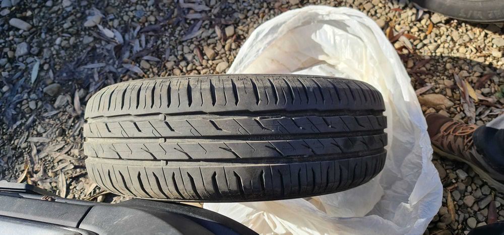 anvelope de vara Semperit 195 65 R15