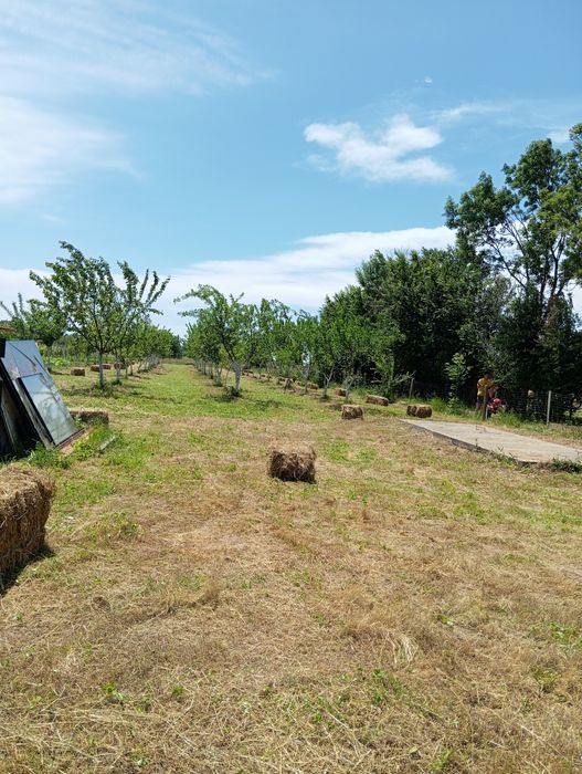 Baloți de vanzare