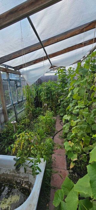 Продажа дома Затобольск