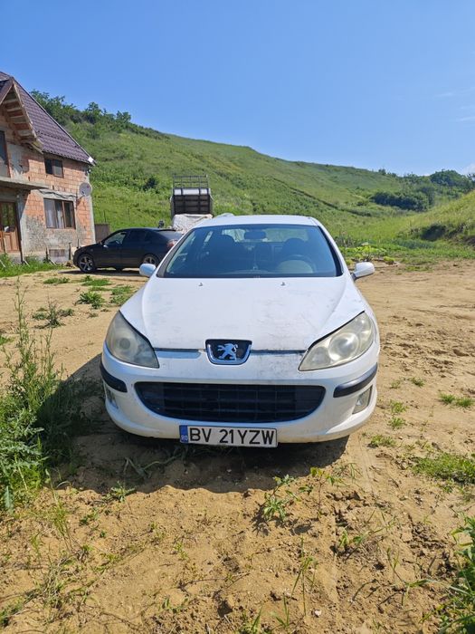 Vand Peugeot 407