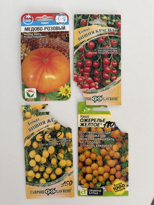 Рассада помидор 28 ростков