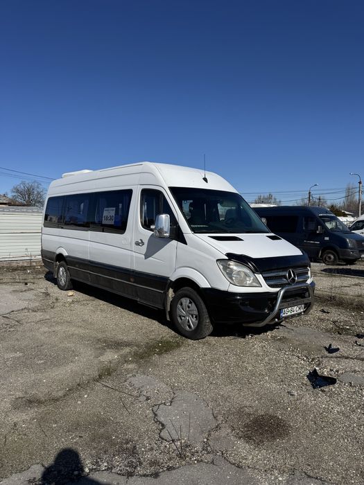 Vand Sprinter 16 + 1 locuri
