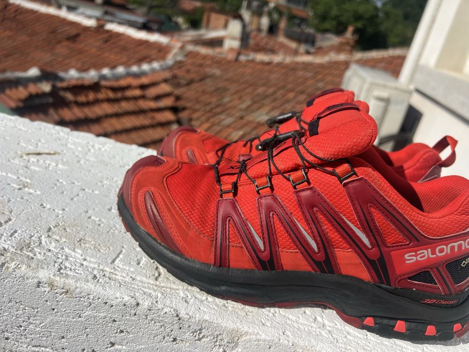 Salomon Xa Pro 3D 43 1/3 Gore-Tex