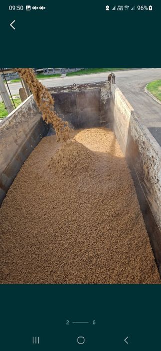 Барда корм для скота.