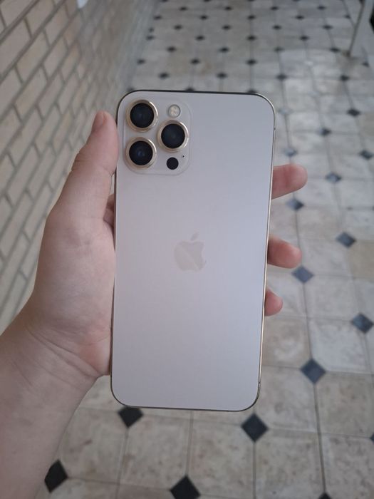 iphone 12 pro max