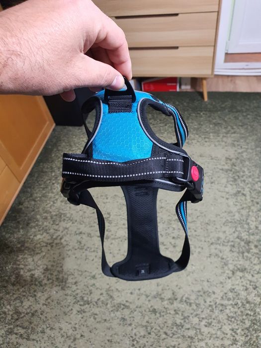 ham caine de talie mare