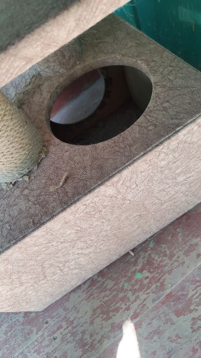 Домик для кошки.