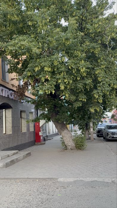 Сдаётся в аренду магазин