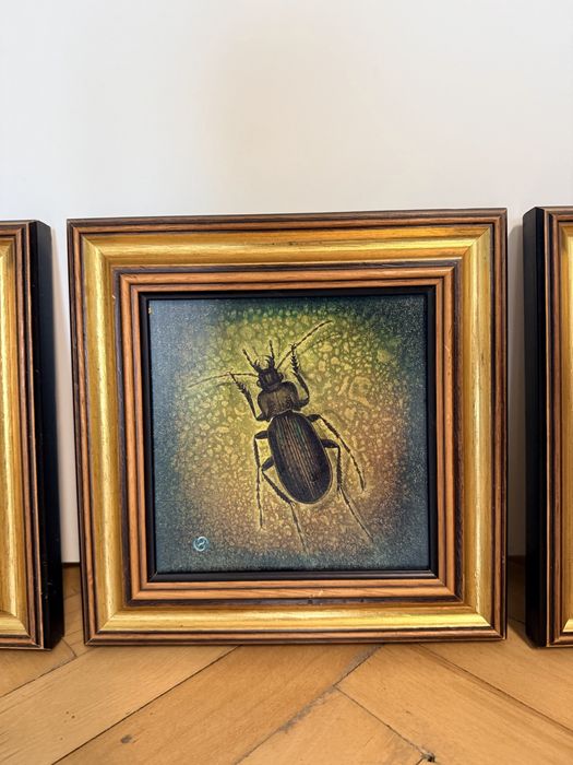 Картини с инсекти