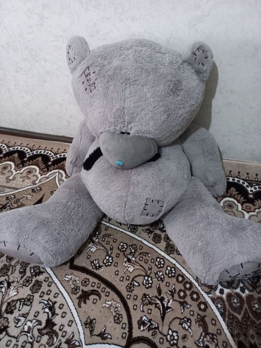 .         Teddy ayiq